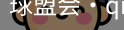 球盟会